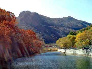 新澳天天开奖资料大全旅游团，弯花机